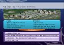 CM의 적용사례 문제점 27페이지