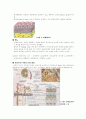 비뇨기의 해부와 생리 5페이지