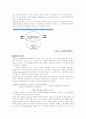 비뇨기의 해부와 생리 10페이지