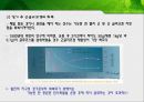 에너지 대사의 적응과 운동시 연료의 이용PPT 33페이지