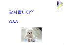 학교교육의 확대와 학력상승의 원인PPT 24페이지