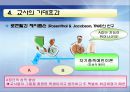 학업성취격차의결정요인에 대한 모든것.PPT자료(37페이지) 21페이지