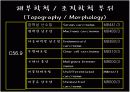 Ovariancancer 난소암 5페이지