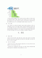 삼성SDI 헝가리진출  12페이지