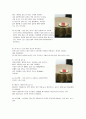 외식 테이블세팅의 종류와 방법 (한글) 7페이지
