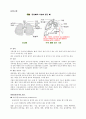 기흉 case 1페이지