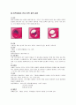 심혈관계 버거시병 케이스스터디. 말초동맥폐쇄 4페이지