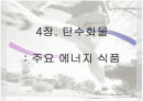 탄수화물 주요 에너지 식품 1페이지