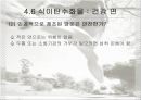 탄수화물 주요 에너지 식품 29페이지