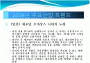2009년 주요 산업 전망과 현안 13페이지