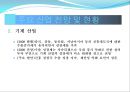 2009년 주요 산업 전망과 현안 25페이지