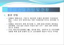 2009년 주요 산업 전망과 현안 32페이지