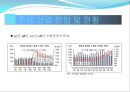 2009년 주요 산업 전망과 현안 33페이지