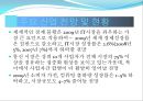2009년 주요 산업 전망과 현안 54페이지