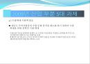 2009년 주요 산업 전망과 현안 61페이지