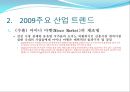 2009년 주요 산업 전망과 현안 71페이지