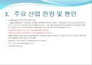 2009년 주요 산업 전망과 현안 75페이지