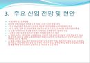 2009년 주요 산업 전망과 현안 77페이지