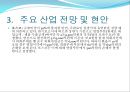 2009년 주요 산업 전망과 현안 82페이지