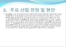 2009년 주요 산업 전망과 현안 84페이지