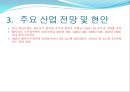 2009년 주요 산업 전망과 현안 91페이지