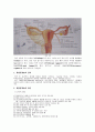 cesarean section 2페이지