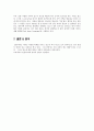 일본 축제 및 자료 분석 10페이지