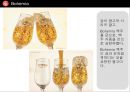  맥주 인쇄광고 수집 및 분석 피피티 57페이지