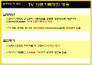  다국적PR회사`Fleishman-Hillard`가 수행한 `Baxter`사의 러시아 시장 진출 PR 사례조사 12페이지