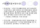 복지예산의 형태 27페이지