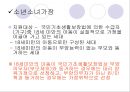복지예산의 형태 29페이지