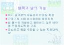 발목과 발 3페이지