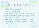 발목과 발 4페이지