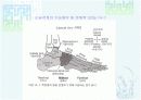 발목과 발 5페이지