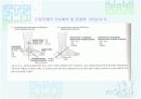 발목과 발 11페이지