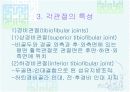 발목과 발 14페이지