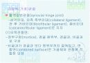 발목과 발 15페이지