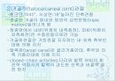 발목과 발 21페이지