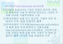 발목과 발 25페이지