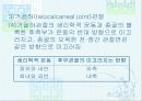 발목과 발 26페이지