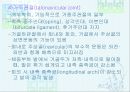 발목과 발 28페이지
