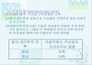 발목과 발 29페이지