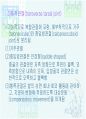 발목과 발 30페이지
