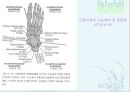 발목과 발 47페이지