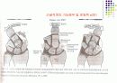 손목관절과 손 8페이지