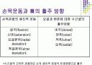 손목관절과 손 12페이지
