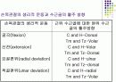 손목관절과 손 14페이지