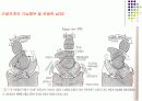손목관절과 손 16페이지