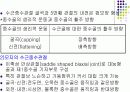 손목관절과 손 17페이지