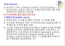 손목관절과 손 37페이지